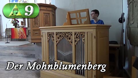 Folge 9 von Hyrule Harmonics (Der Mohnblumenberg)