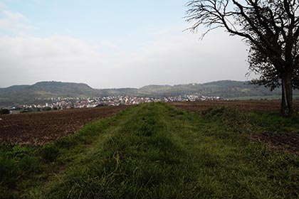 Im Zentrum der Weg nach Entringen - Der Baum scheint nebensächlich...