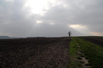 Ein Baum sehr klein im goldenen Schnitt. Über dem Baum ein Wolkenloch!