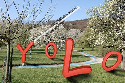 Die Buchstaben YOLO in einer Frühlingslandschaft. Man kann verschiedene Wege gehen...