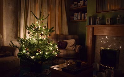 A little Christmas tree, bought and decorated by Tim and Sophie today. What a nice Christmassy atmosphere!