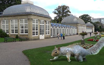 The main building of the botanical gardens. I have to confess that the squirrel was a little bit smaller...